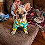 dog, puppy, french_bulldog, sweater, duck_pattern, couch, blanket, child, smiling, indoor, living_room, wood_floor, cozy, pet_clothing, happy, young, casual, home, comfort, cute
