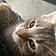 Minou