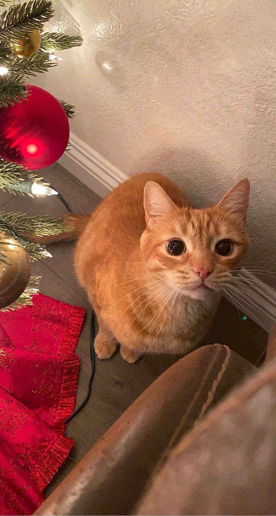 Max
