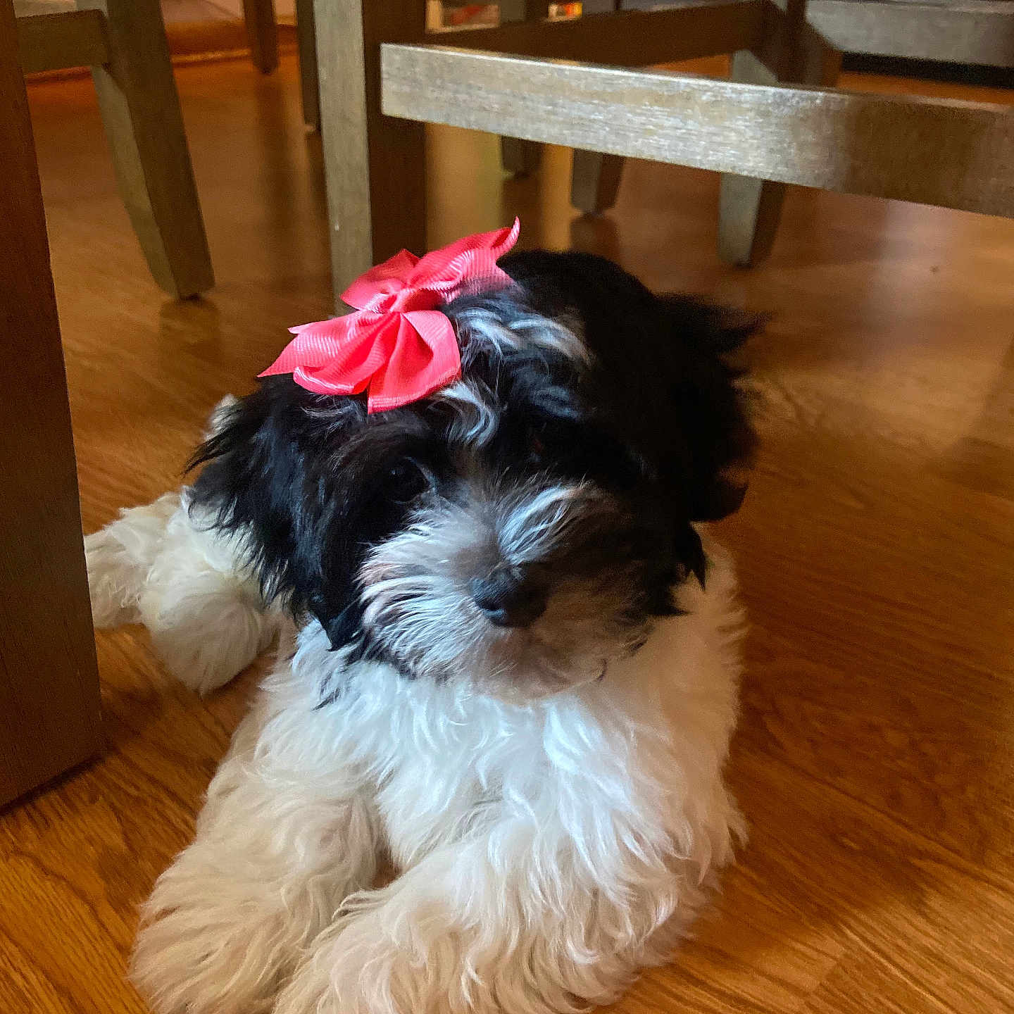 Myla