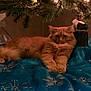 cat, orange_cat, fluffy, christmas_tree, tree_skirt, blue_fabric, snowflake_pattern, indoor, pet, feline, relaxed, holiday, decorations, fur, animal, cozy, resting, christmas_lights, greenery, festive