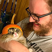 Louie The Munchkin is registered to the contest to win money with this photo: cat, person, glasses, pumpkin_hat, indoor, wooden_wall, beard, smiling, holding, fluffy_cat, costume, fall, cute, pet, funny, cozy, closeup, happy, face, casual_clothing