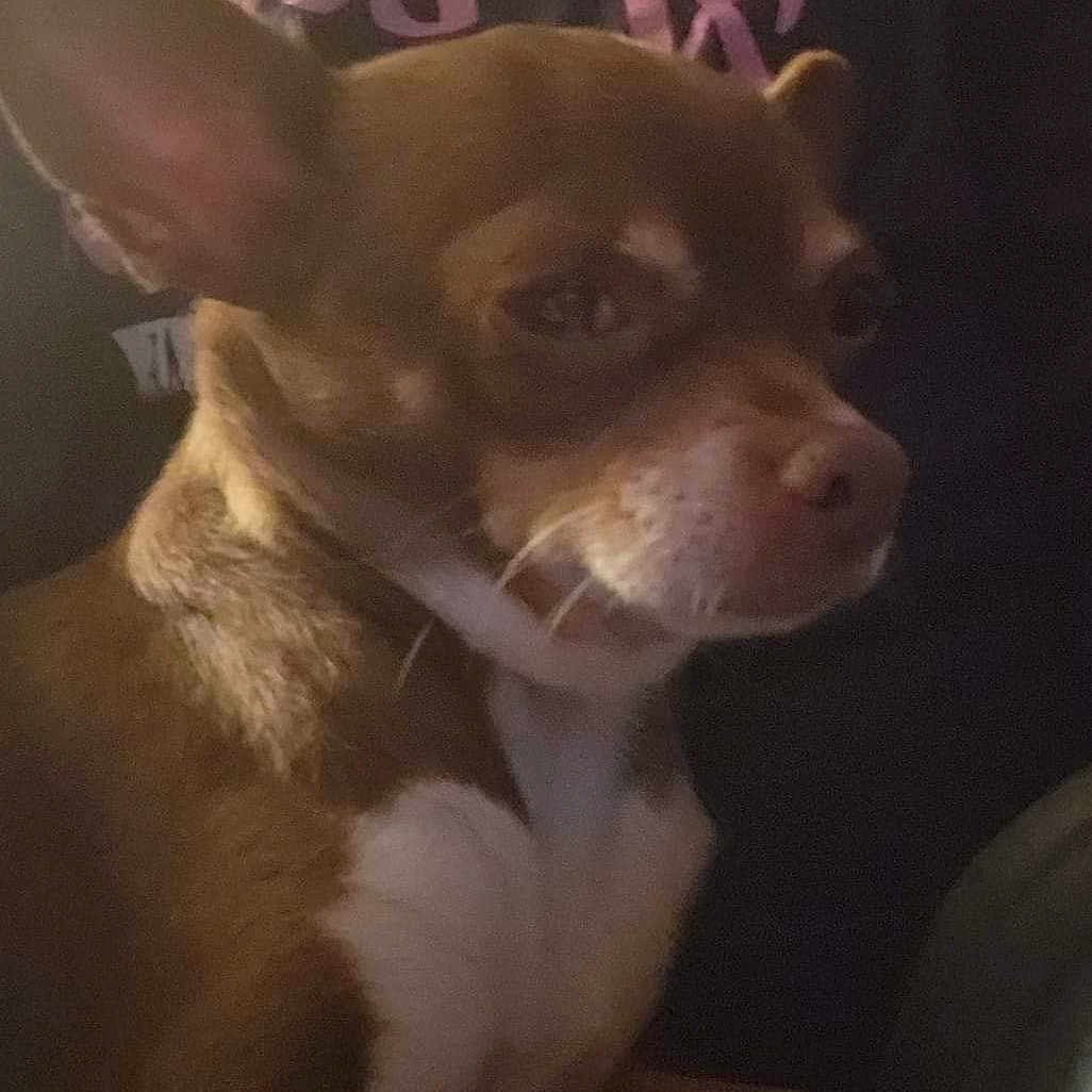 Sadie