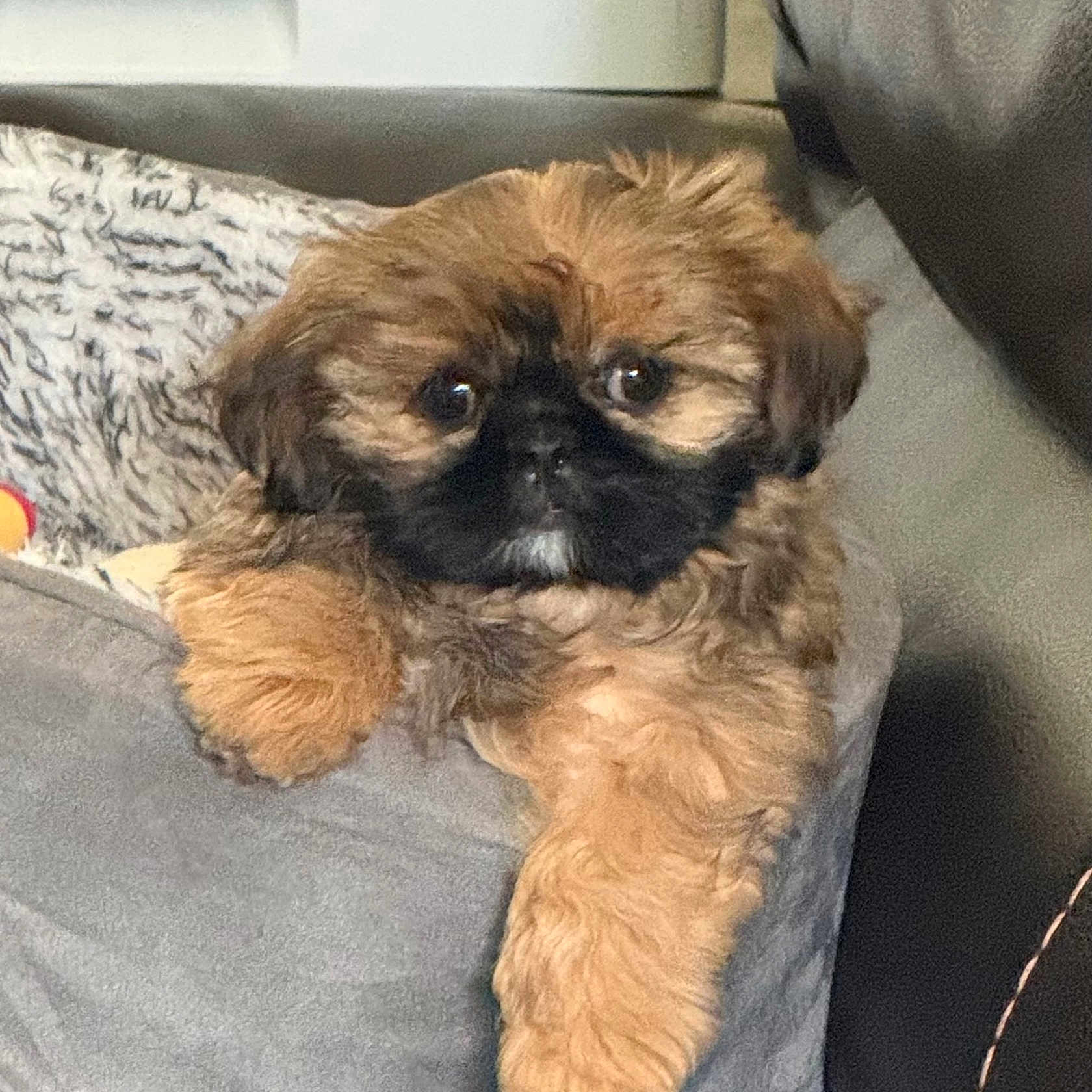Marley