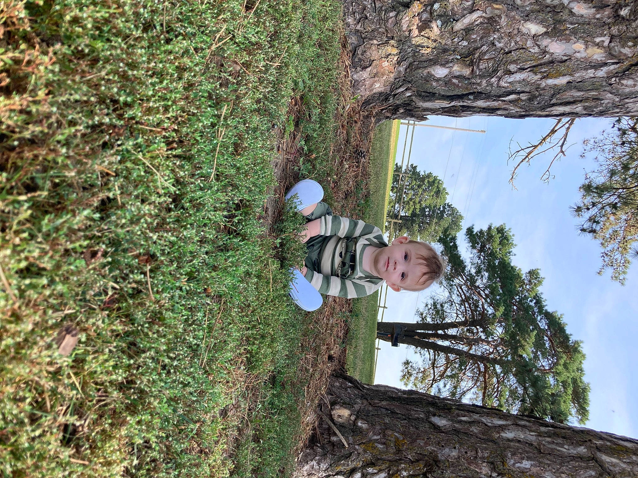 Clark is registered to the contest to win money with this photo: adventure, biome, branch, forest, grass, groundcover, helmet, house, people_in_nature, person, plant, recreation, shrub, sky, soil, tree, trunk, vegetation, wheel, wood