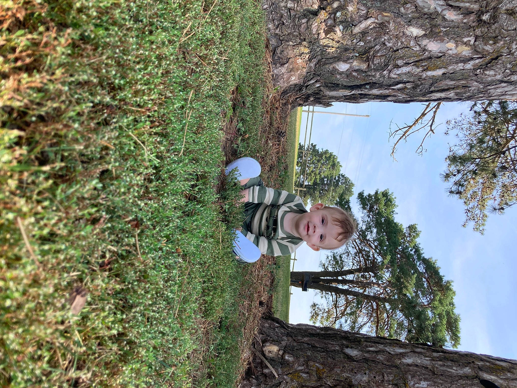 Clark joined the competition — help win amazing prizes! adventure, botany, forest, grass, groundcover, hedge, helmet, joy, landscape, leisure, people_in_nature, person, plant, recreation, shrub, sky, soil, tree, trunk, twig