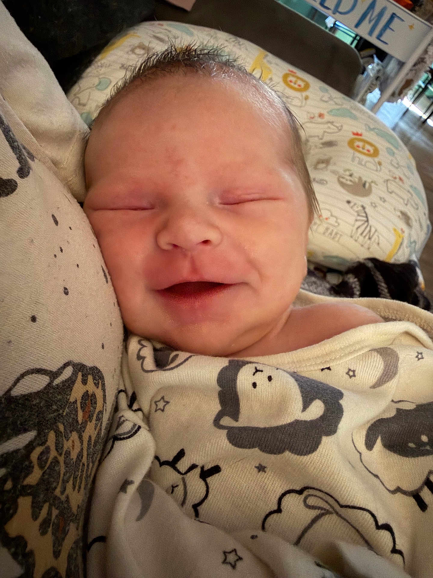 Zackary is registered to the contest to win money with this photo: newborn, baby, smiling, blanket, animal_print, face, sleepy, cozy, infant, closeup, soft, resting, cute, pattern, pillow, indoors, person, child, happy, sleep