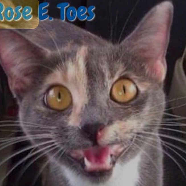 Rose E. Toes