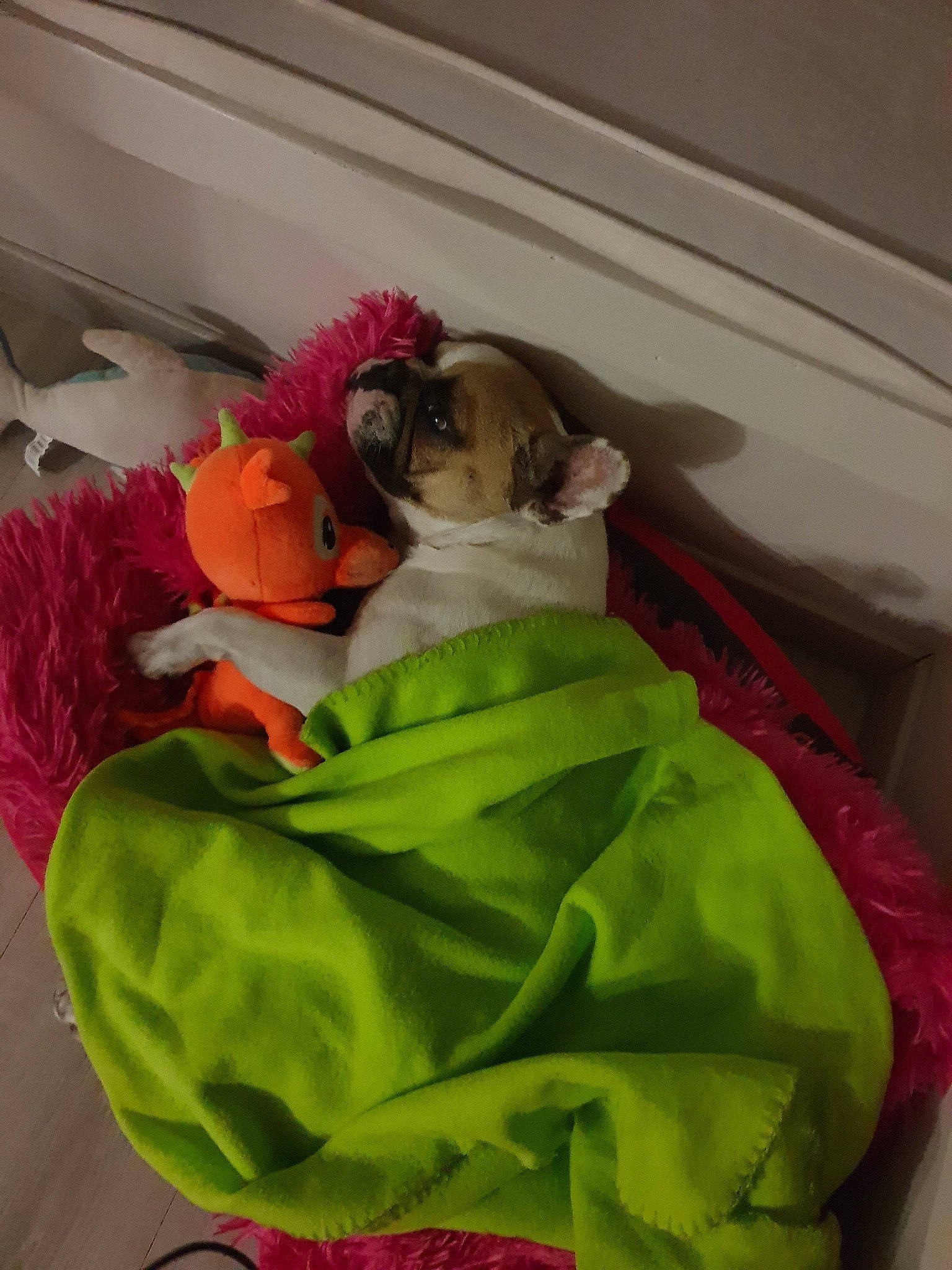 Mandy participe au concours pour gagner de l'argent avec cette photo : nap, sleep, textile