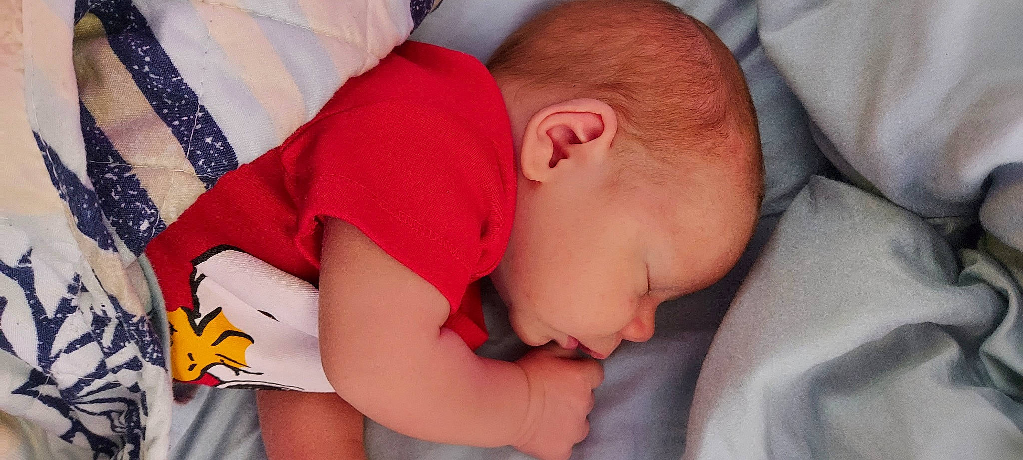 Alexander joined the competition — help win amazing prizes! arm, baby, baby_toddler_clothing, carmine, cheek, child, comfort, elbow, finger, fun, human_body, joint, mammal, mouth, muscle, person, sleeve, t_shirt, thigh, toddler