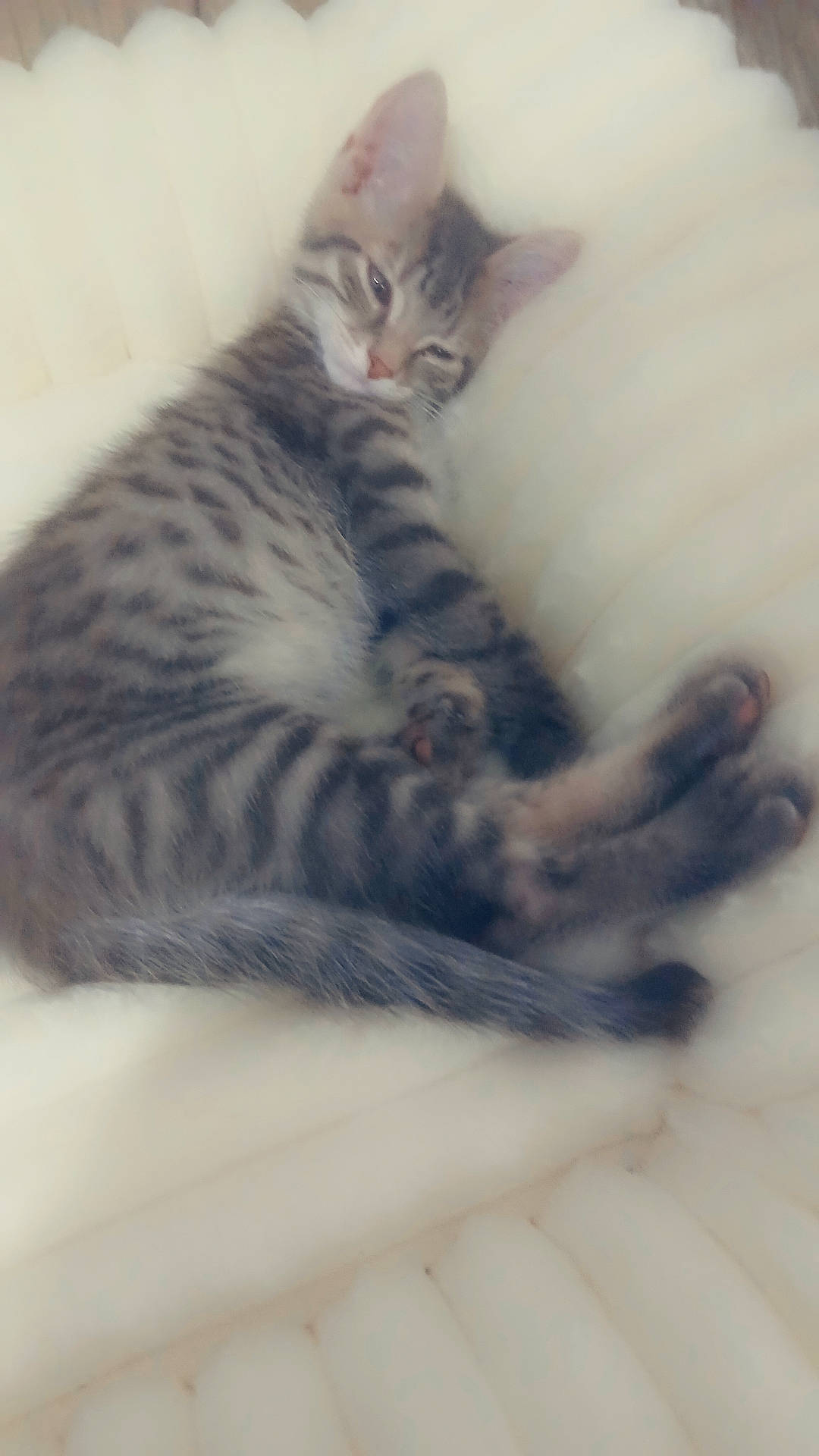 Pablo