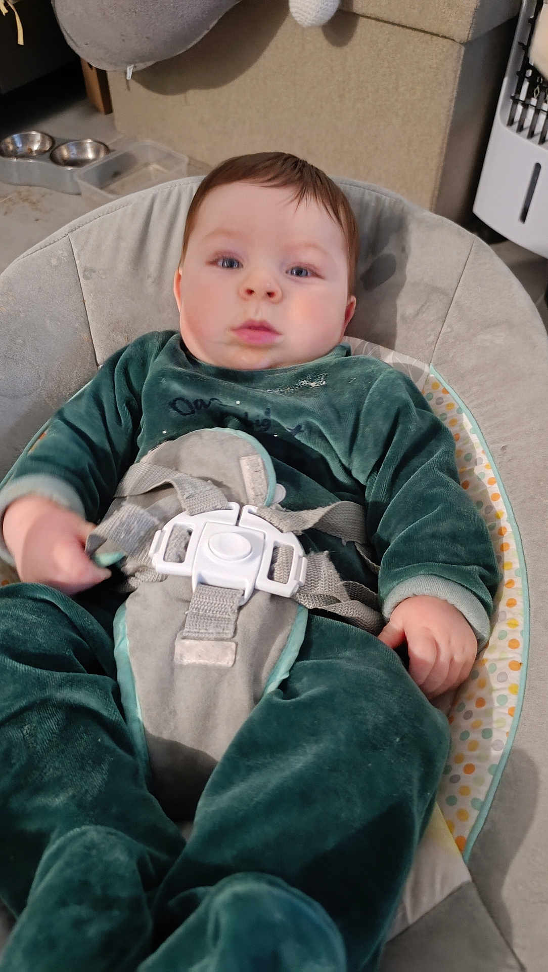 Louis a rejoint le concours — aidez-le/la à gagner de superbes lots ! baby, child, infant, green_outfit, baby_seat, straps, face, curious, indoor, cushion, home, pet_bowls, floor, clothing, person, closeup, young_child, seated, comfort, expression