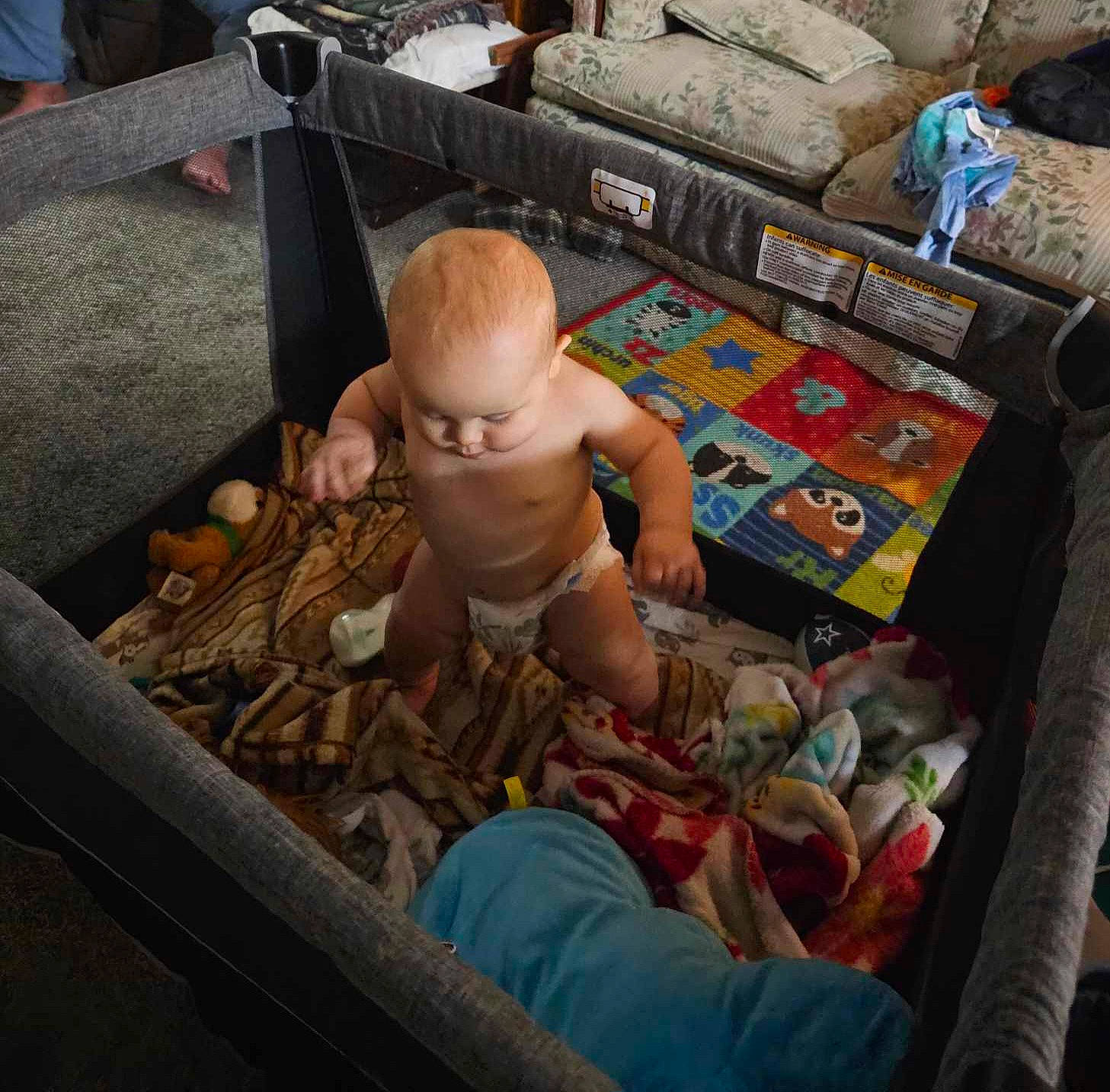 Hunter joined the competition — help win amazing prizes! baby, baby_products, barechested, carpet, child, flooring, fun, leisure, market, person, play, recreation, room, sitting, toddler, toy, wood, world