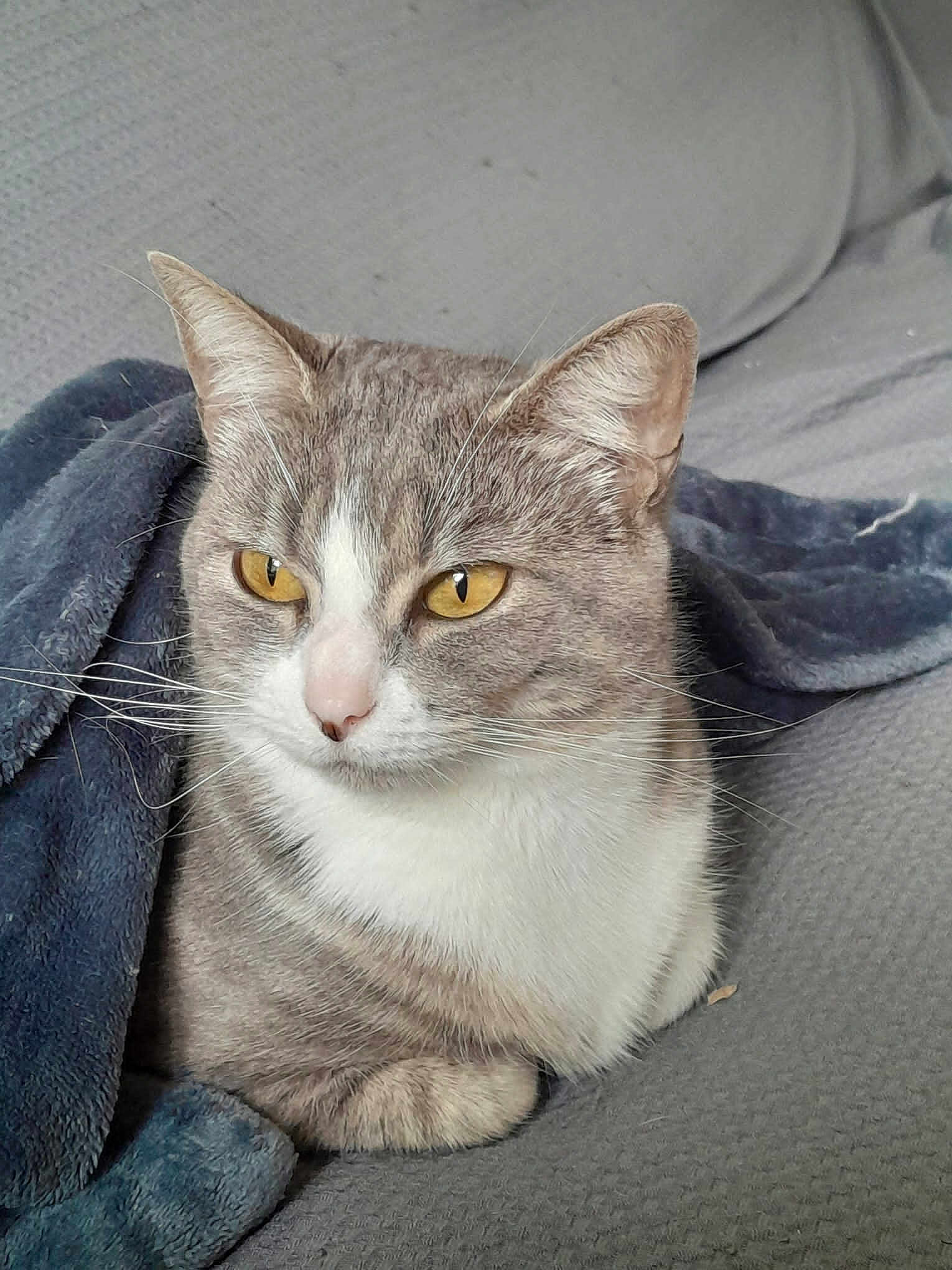 Bonnie