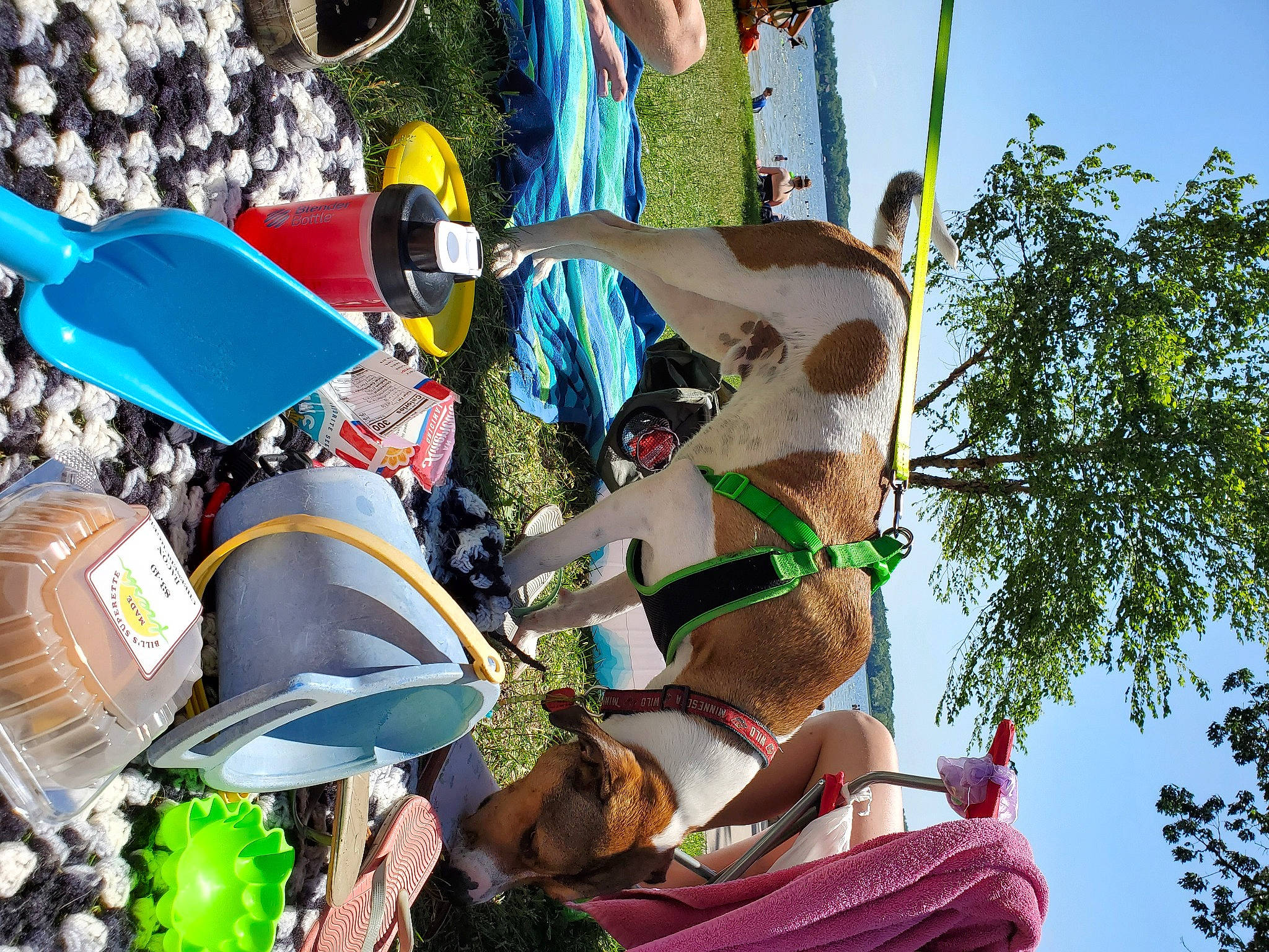 Oliver is registered to the contest to win money with this photo: