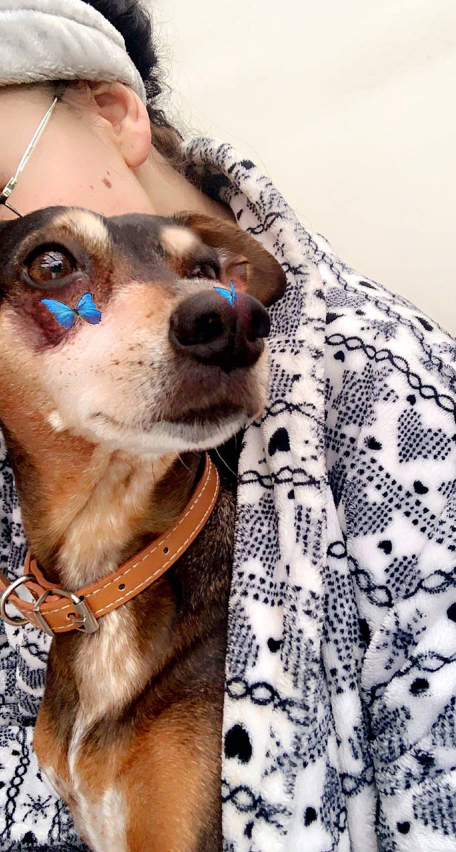 Scooby participe au concours pour gagner de l'argent avec cette photo : carnivore, collar, companion_dog, dog, dog_breed, dog_collar, dog_supply, eyewear, fawn, goggles, leash, liver, mammal, pet_supply, sleeve, snout, sunglasses, vertebrate, whiskers, working_animal