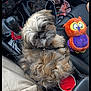 dog, car_interior, center_console, plush_toy, seat, gear_shift, cup_holder, dog_collar, toy_owl, fabric, button, seatbelt, leather, pet, fluffy, curious, travel, companion, cozy, small_dog
