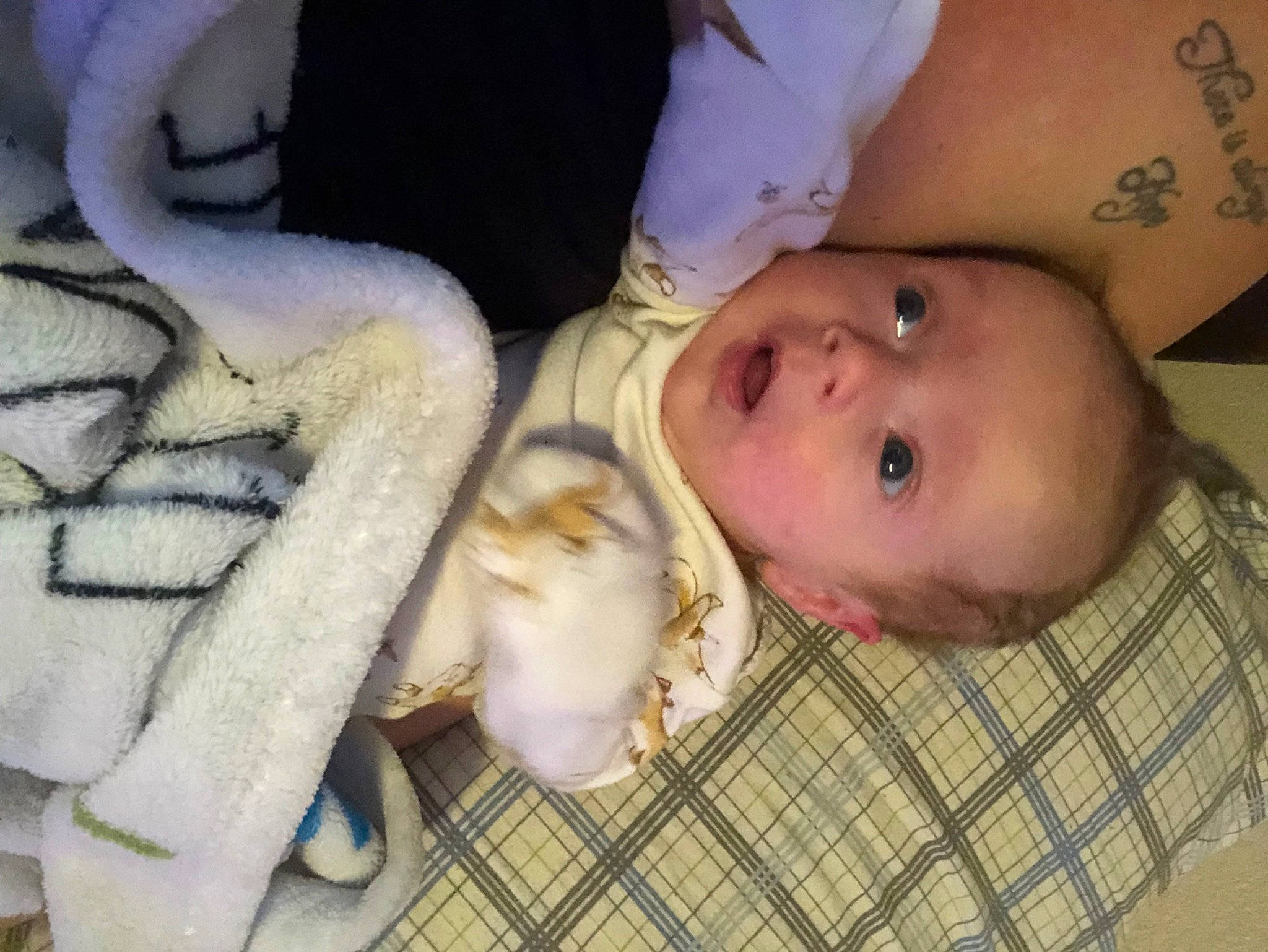 Lilly joined the competition — help win amazing prizes! baby, baby_products, baby_toddler_clothing, cheek, child, comfort, eye, eyebrow, facial_expression, finger, fur, happy, head, human_body, iris, mouth, nose, pattern, person, skin