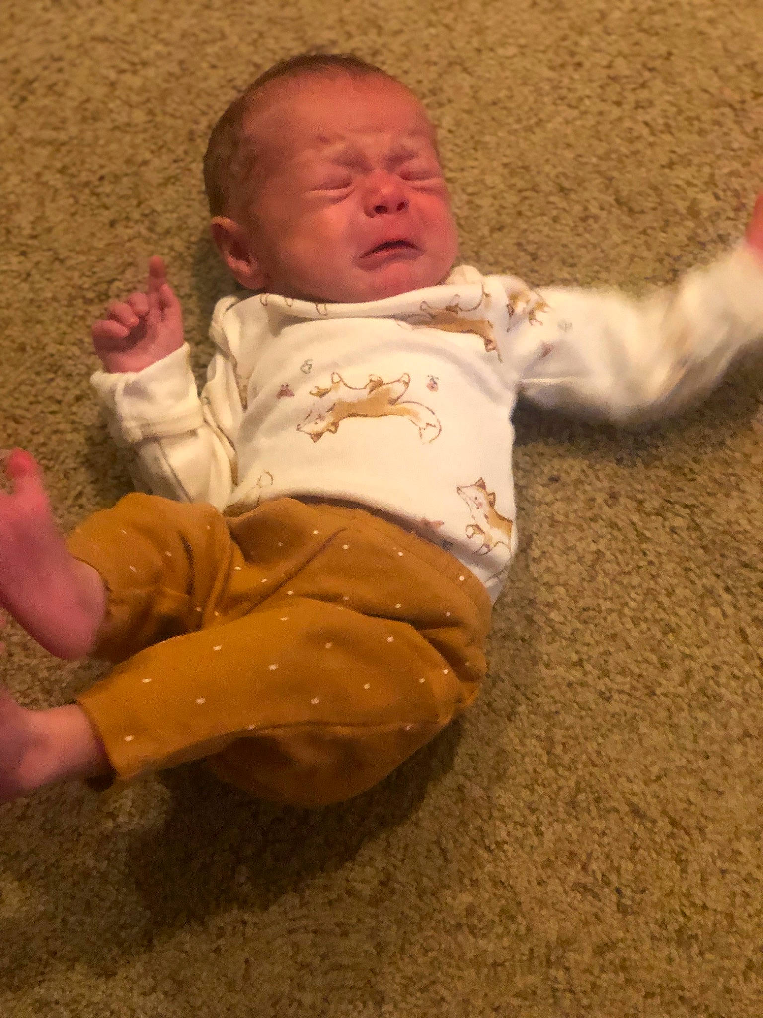 Lilly is registered to the contest to win money with this photo: baby, baby_toddler_clothing, cheek, child, comfort, eye, face, flooring, foot, fun, grass, happy, head, mouth, nose, person, sitting, skin, sleeve, sorrow