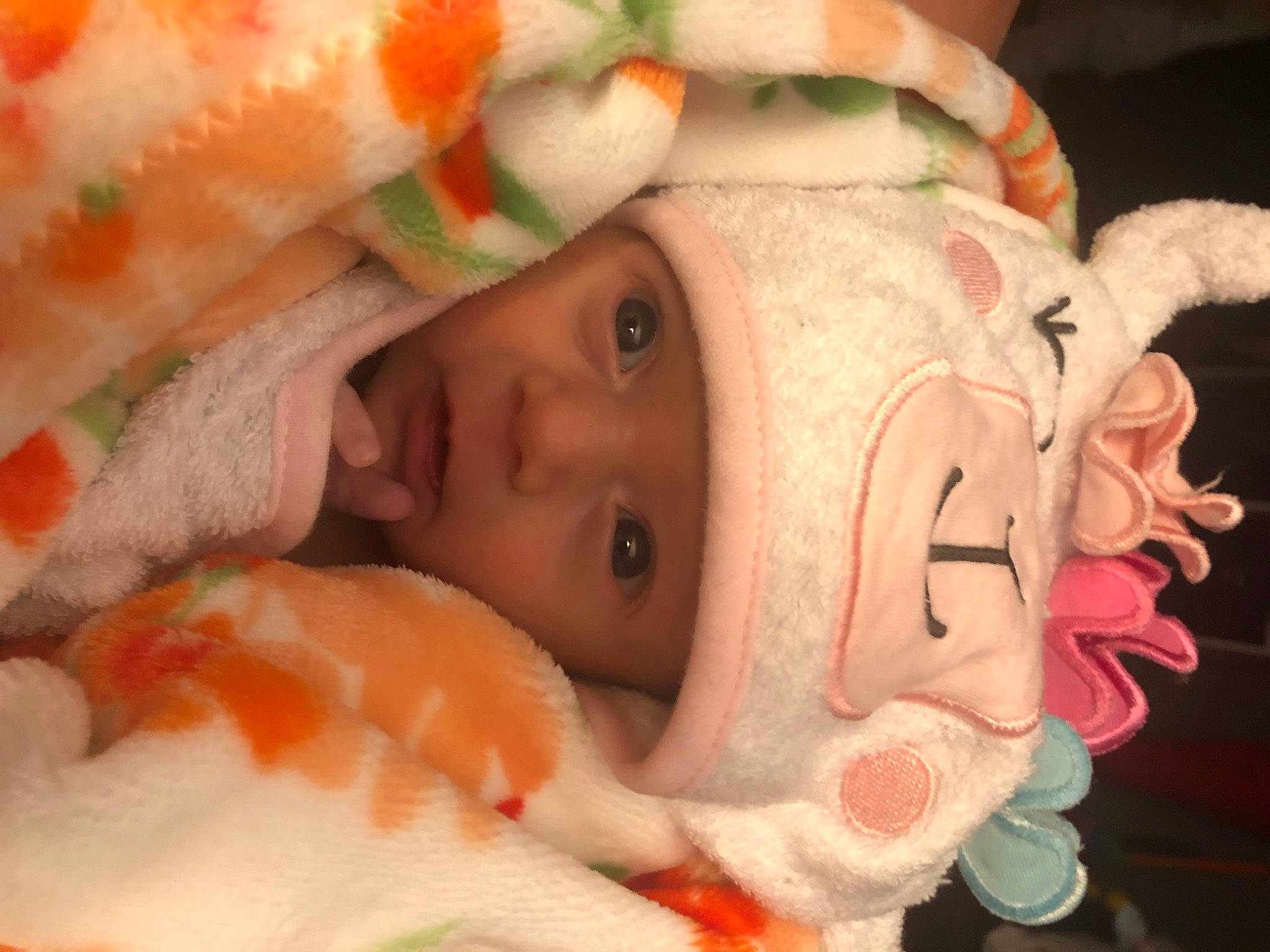 Lilly joined the competition — help win amazing prizes! baby, baby_products, carmine, cheek, child, close_up, event, eye, eyebrow, eyelash, flesh, fur, head, headwear, lip, mouth, nose, person, santa_claus, skin