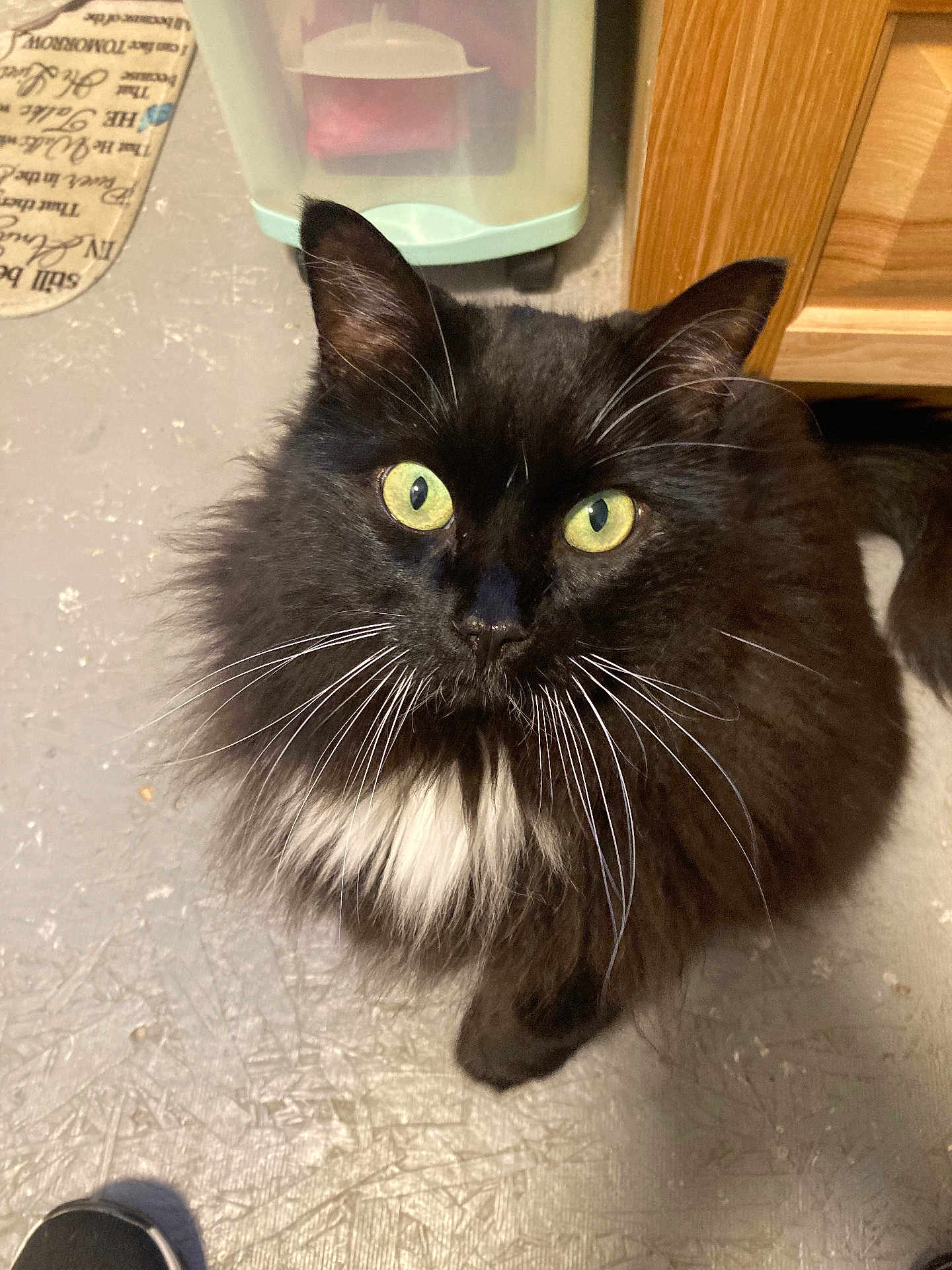 Pepper