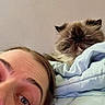Eti Nice joined the competition — help win amazing prizes! blanket, blue_blanket, cat, close_up, cozy, eye, face, fluffy_cat, forehead, fur, grumpy_cat, home, indoor, napping, person, pet, portrait, resting, sleepy, whiskers
