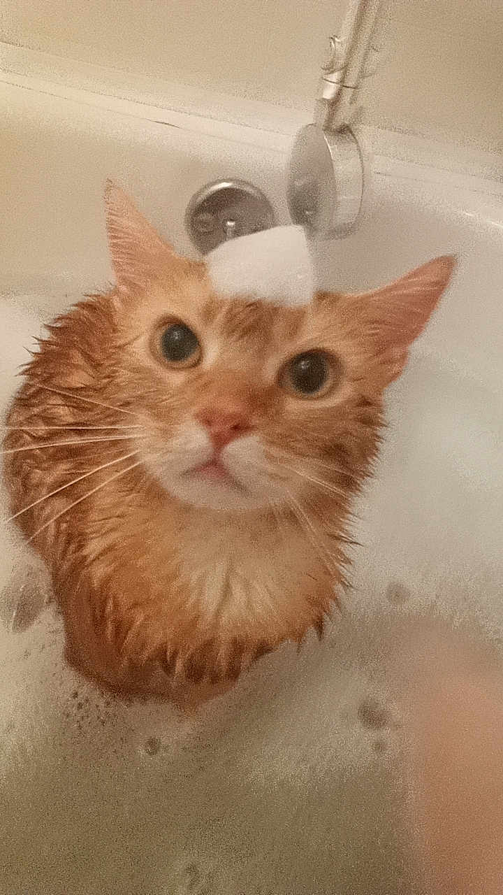 Oliver