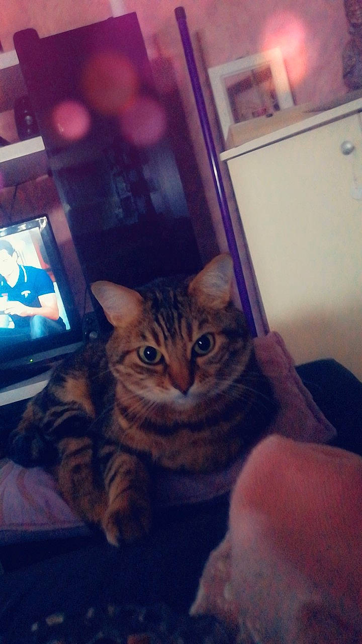 Charly participe au concours pour gagner de l'argent avec cette photo :