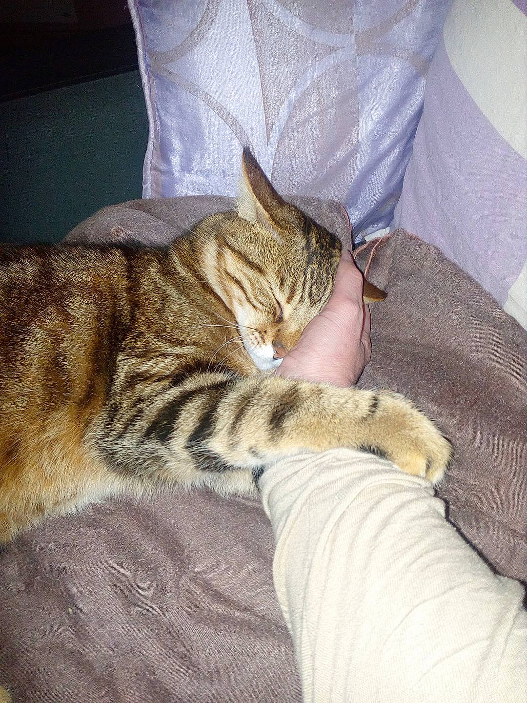 Charly a rejoint le concours — aidez-le/la à gagner de superbes lots !