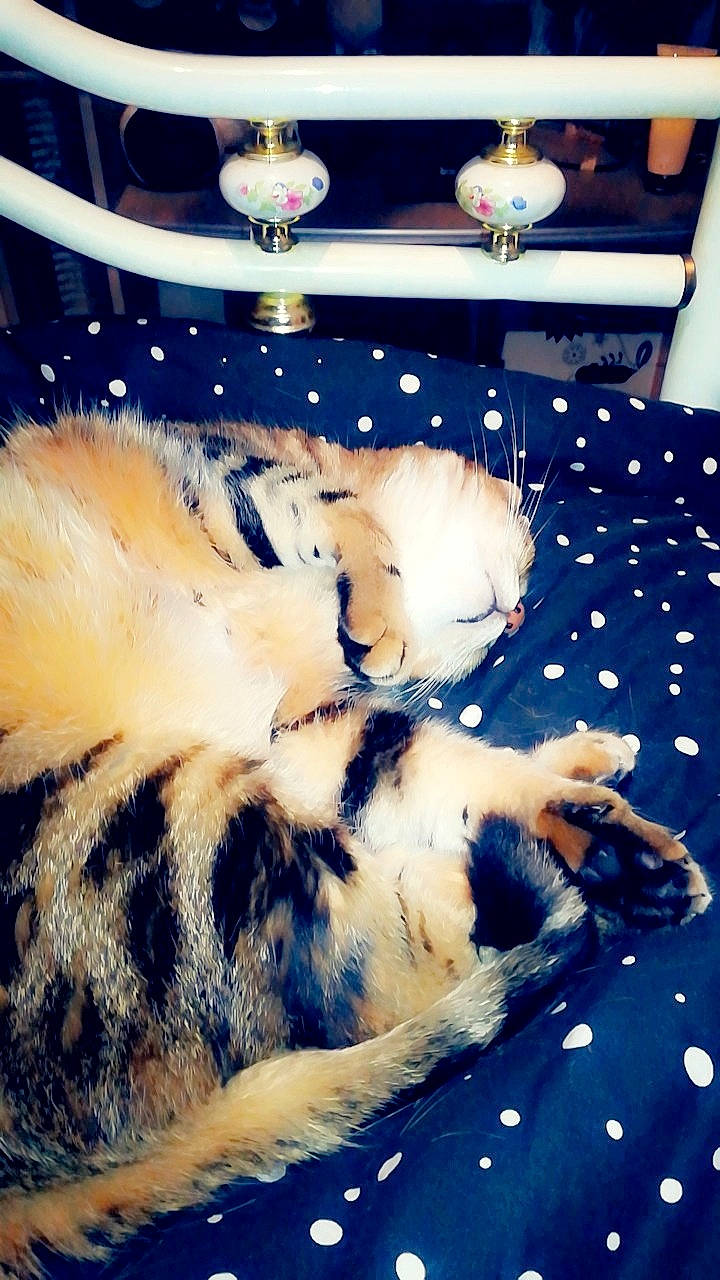 Charly a rejoint le concours — aidez-le/la à gagner de superbes lots !