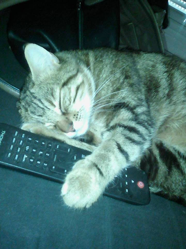 Charly a rejoint le concours — aidez-le/la à gagner de superbes lots !