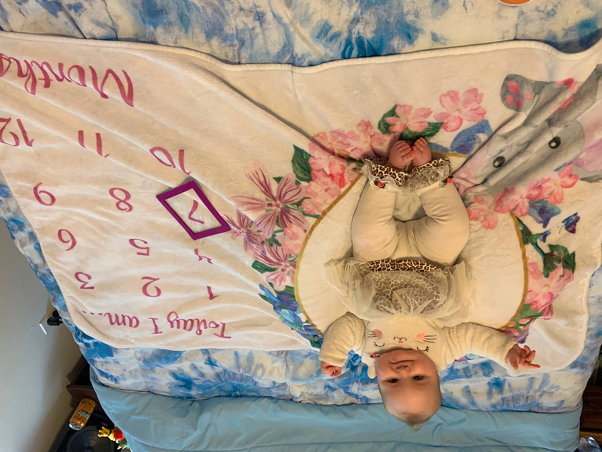 Nichole joined the competition — help win amazing prizes! art, bedding, chest, craft, creative_arts, eyelash, fashion_accessory, font, insect, linens, painting, paper, paper_product, pattern, peach, person, plant, rose, textile, visual_arts