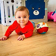 Gustave participe au concours pour gagner de l'argent avec cette photo : baby, child, crawling, red_shirt, wooden_floor, toy_ball, pink_unicorn_toy, blue_bear_playpen, indoor, play_area, flooring, cute, smiling, person, infant, colorful, playtime, young_child, home, fun