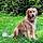 Thelma