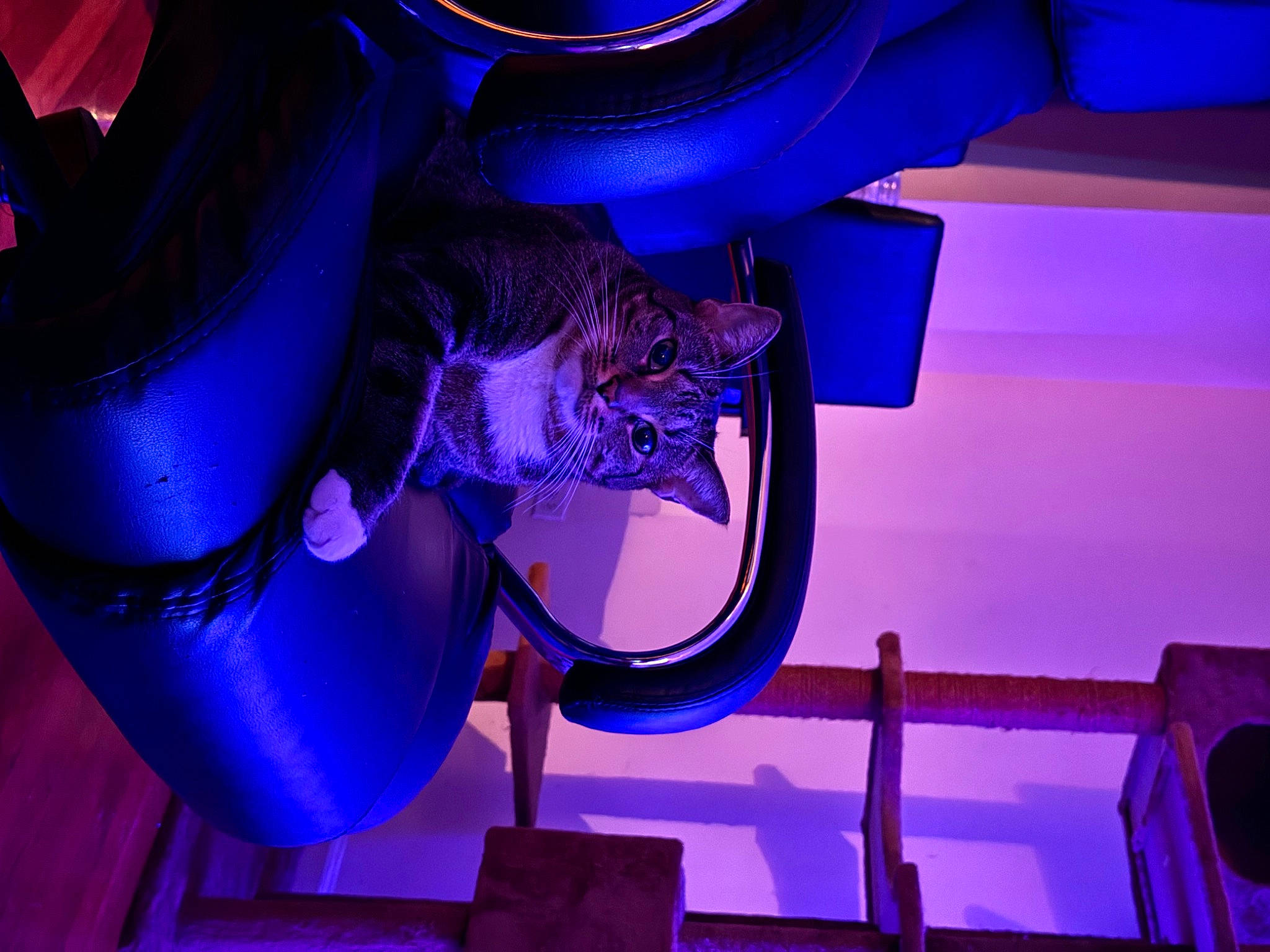 Arya is registered to the contest to win money with this photo: auto_part, automotive_lighting, blue, electric_blue, entertainment, event, fun, glass, human_leg, light, magenta, performance, performing_arts, purple, room, thigh, violet, visual_effect_lighting