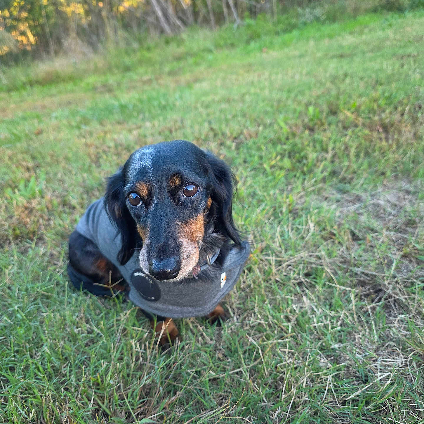 Dutchess Marie