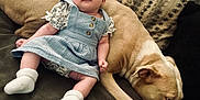 Ryleigh is registered to the contest to win money with this photo: animal, baby, blue_dress, child, comfort, couch, cozy, cute, dog, friendship, furniture, headband, indoor, nap, peaceful, pet, relaxation, resting, sleeping, sock