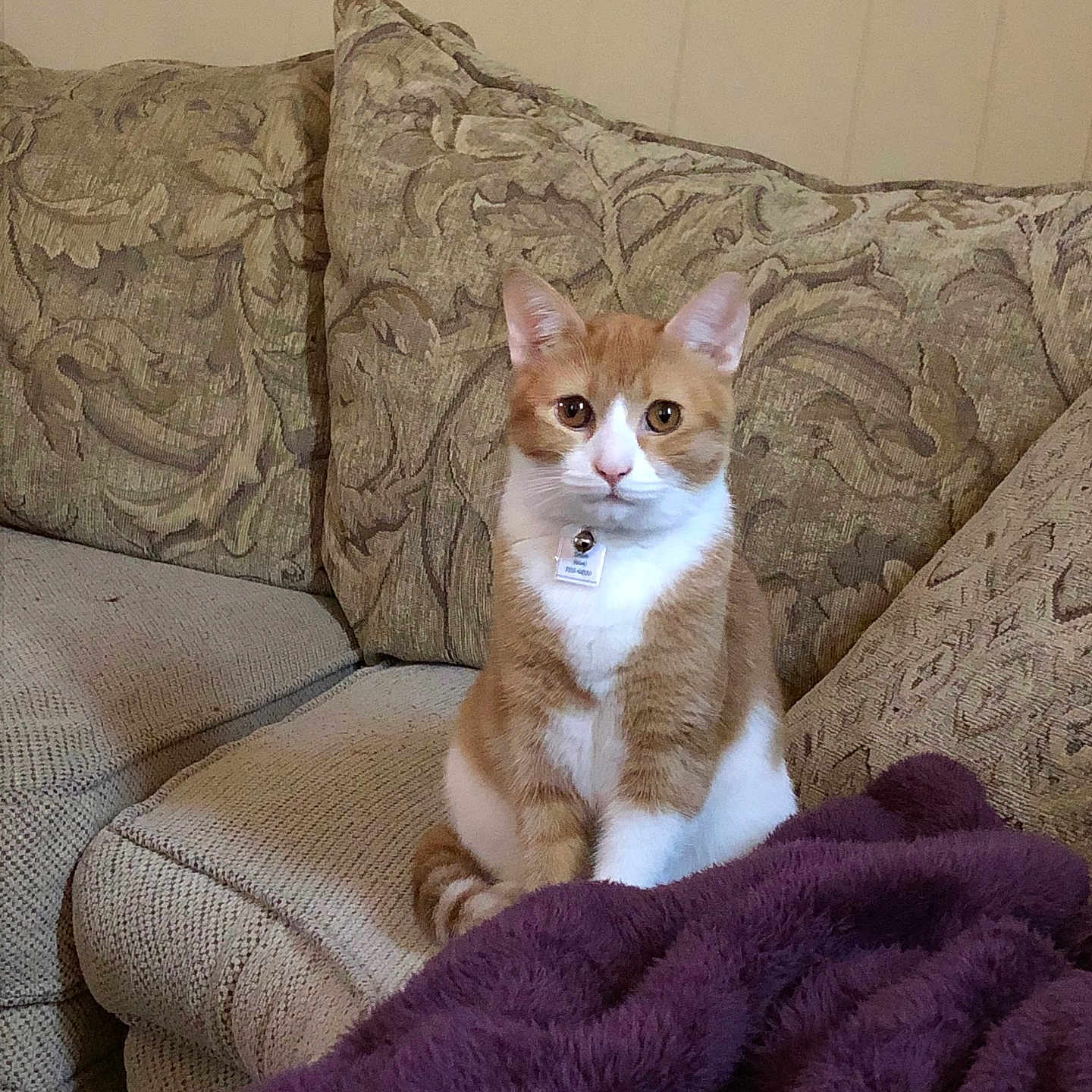 Zoe