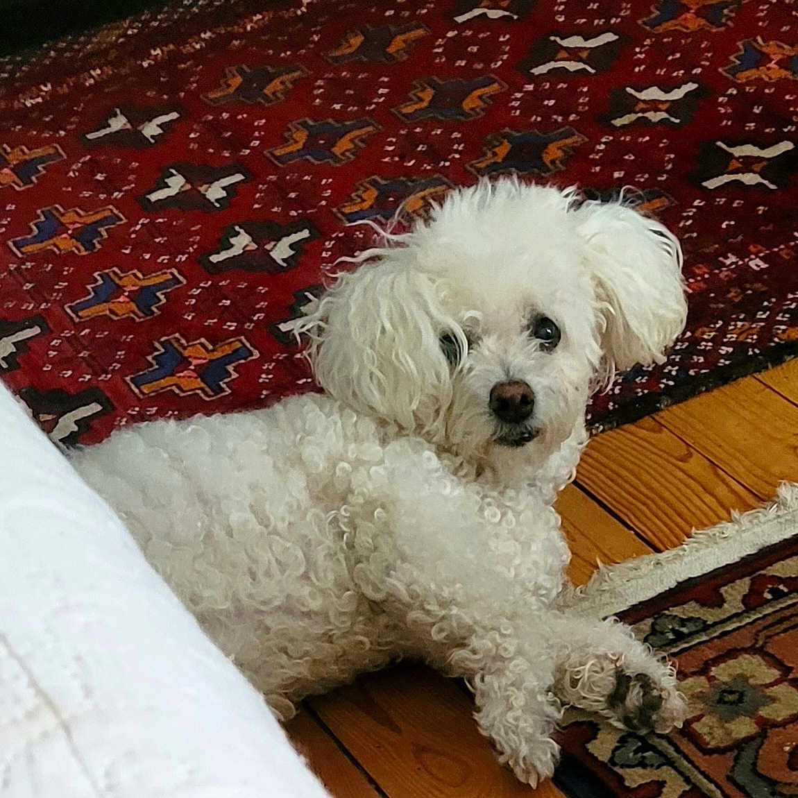 Julie