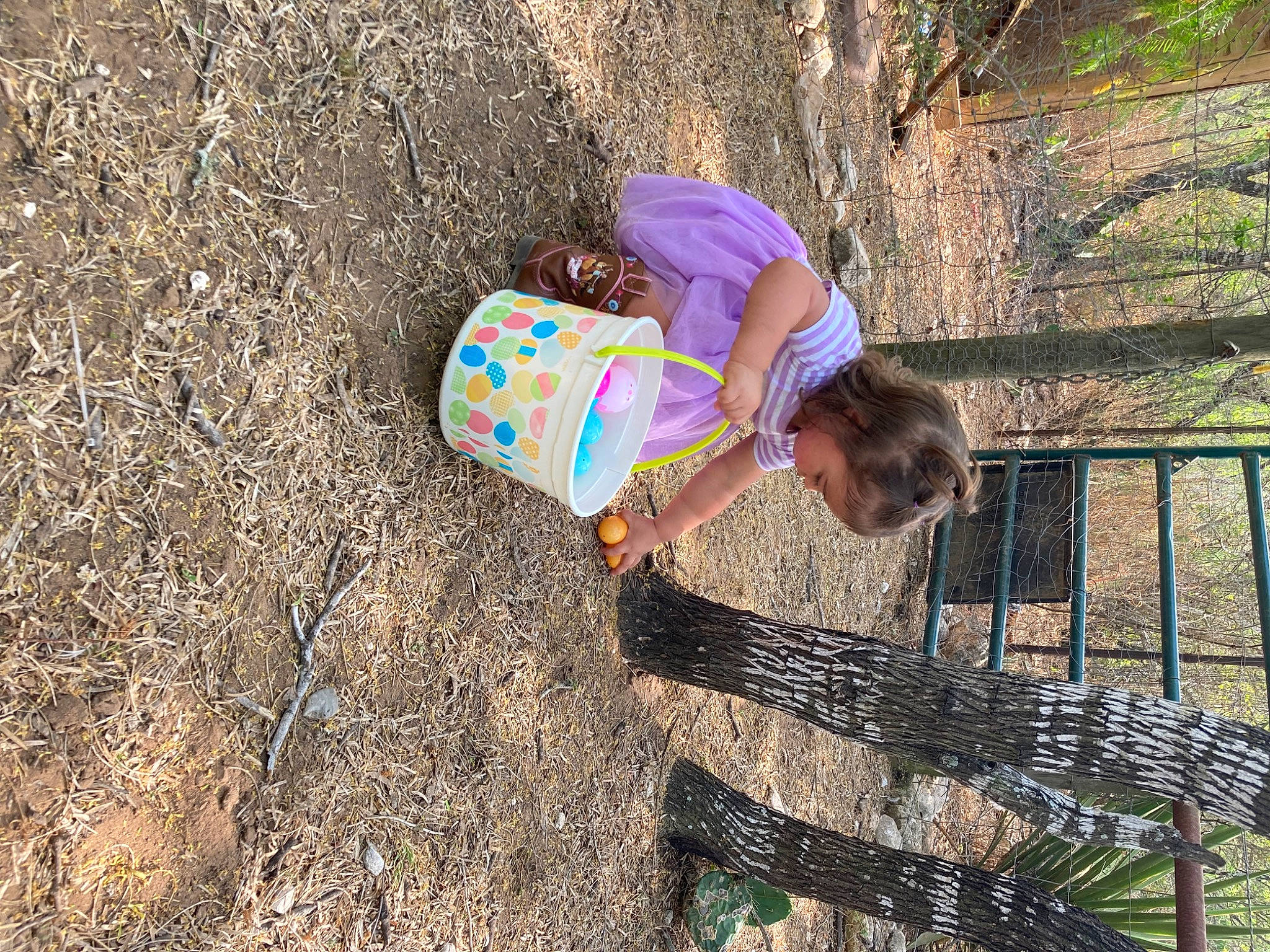 Selena Rosa joined the competition — help win amazing prizes! adaptation, baby_toddler_clothing, child, fun, grass, happy, hat, landscape, leisure, people_in_nature, person, plant, play, recreation, shadow, soil, toddler, tree, trunk, vacation
