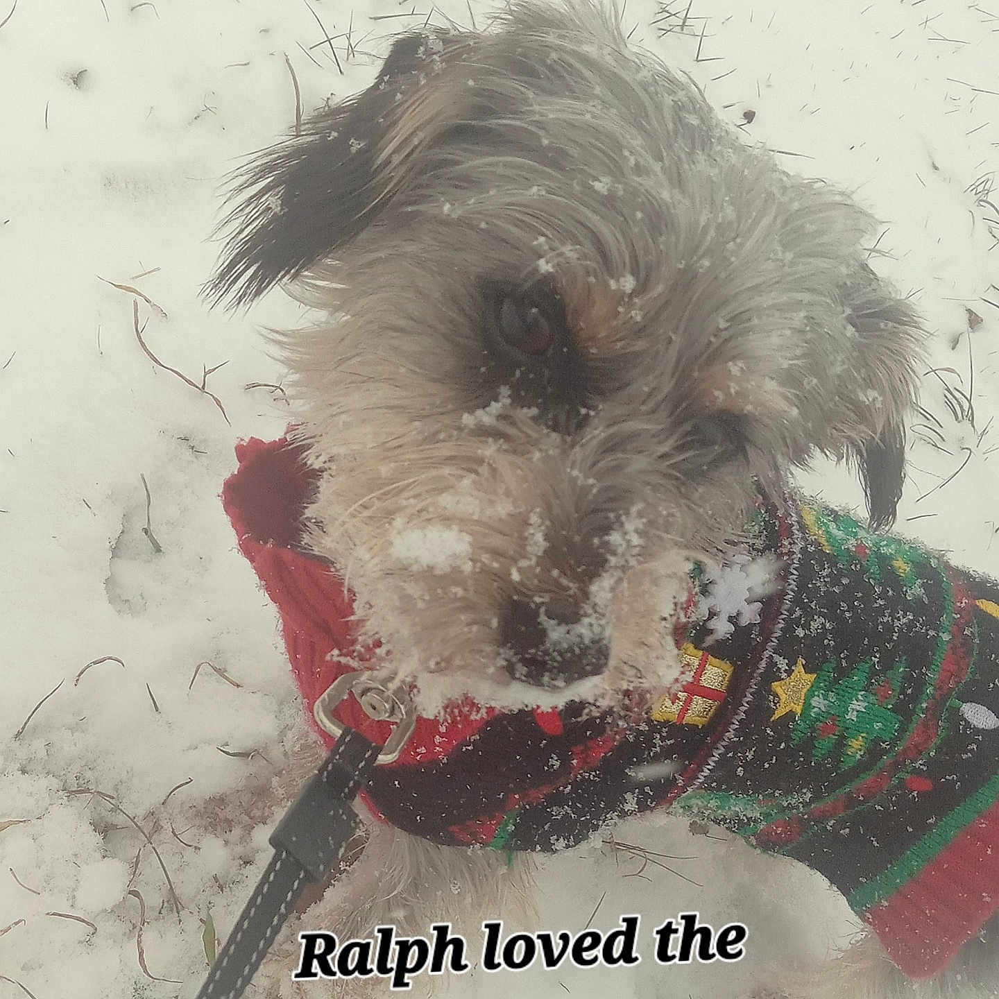 Ralph