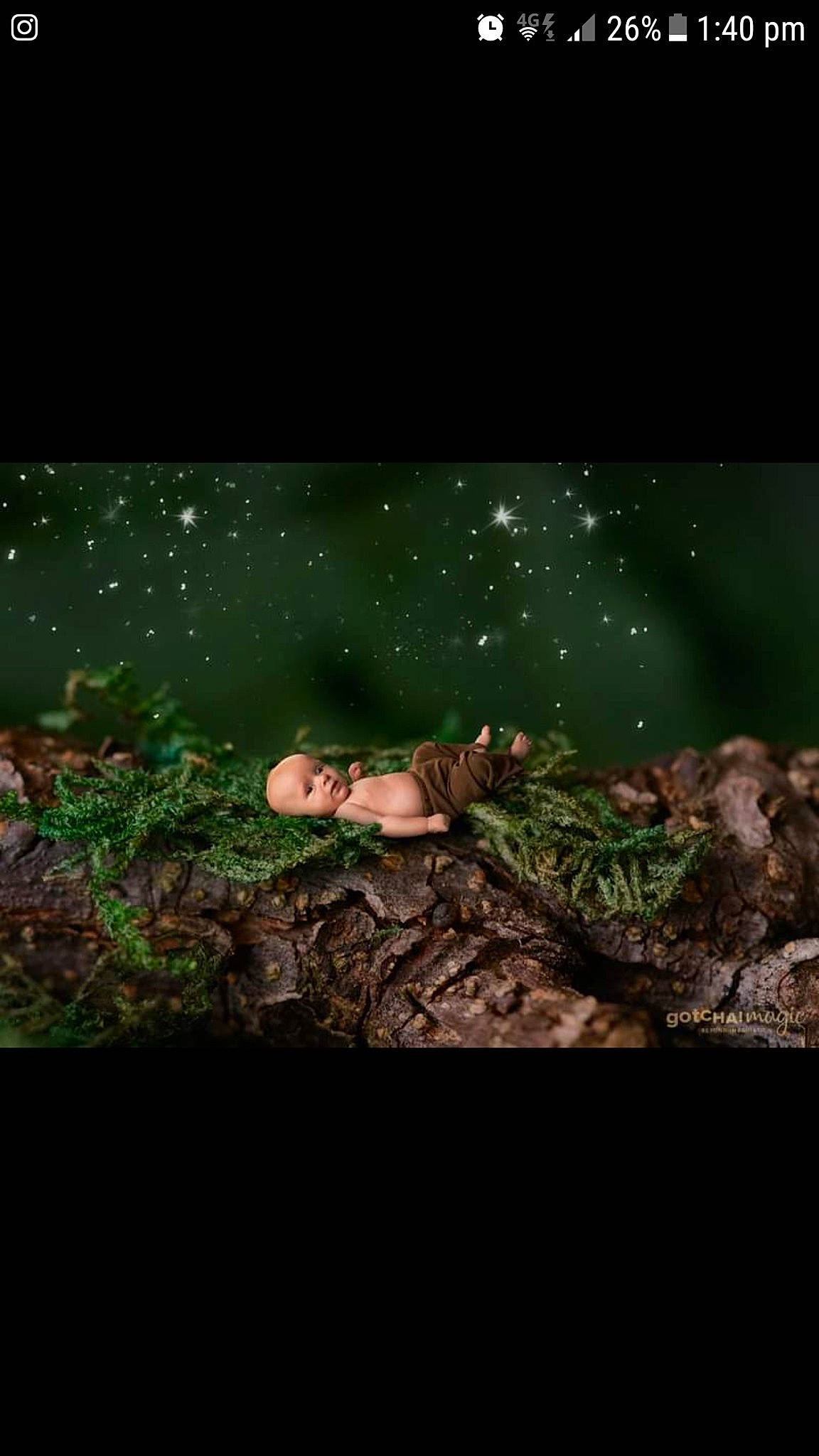 Angus joined the competition — help win amazing prizes! grass, green, landscape, nature, night, organism, person, plant, soil, tree