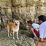 Leia a rejoint le concours — aidez-le/la à gagner de superbes lots ! archaeology, brown_fur, crouching, dog, happy, hiking, historical_site, natural_light, outdoor, people, pet, pointed_ears, rocky_ruins, sandals, standing, stone_wall, summer, tongue_out, tourism, travel