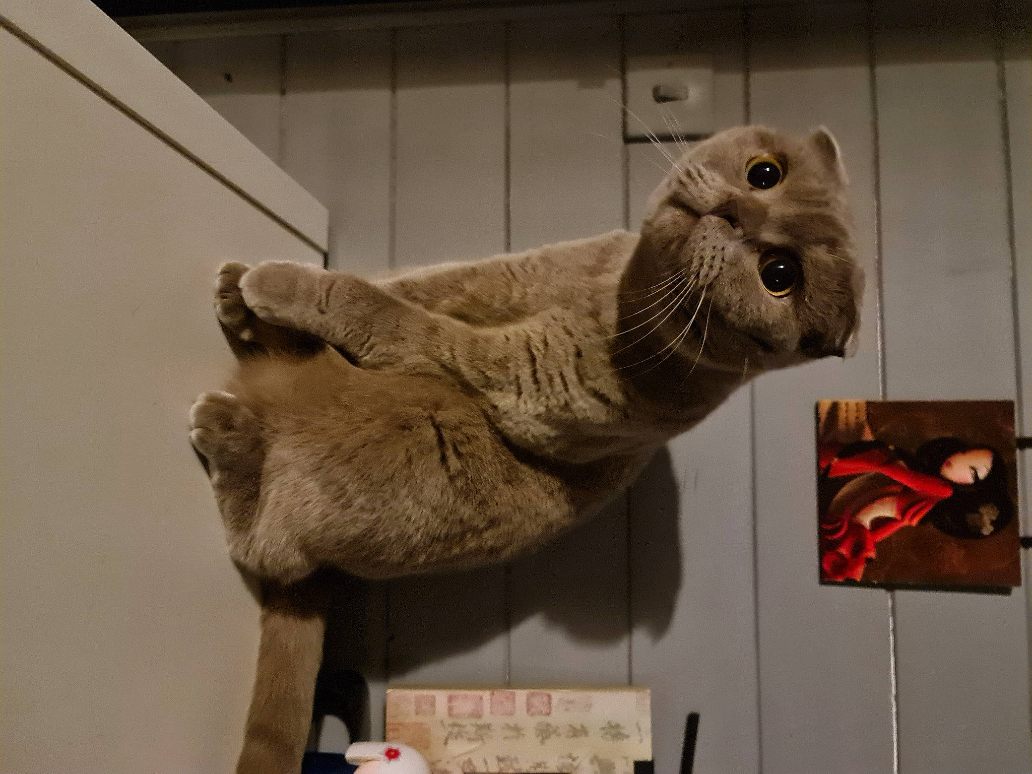 Perçy participe au concours pour gagner de l'argent avec cette photo : ancient_history, anthropology, art, artifact, big_cats, carving, felidae, fur, history, lion, metal, picture_frame, room, sculpture, snout, statue, stone_carving, terrestrial_animal, visual_arts, wood