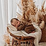 Gabin participe au concours pour gagner de l'argent avec cette photo : newborn, baby, sleeping, brown_clothing, wicker_chair, pillow, blanket, pampas_grass, boho_decor, soft_lighting, indoor, vintage_style, cozy, resting, infant, natural_colors, decorative_vase, textiles, peaceful, portrait