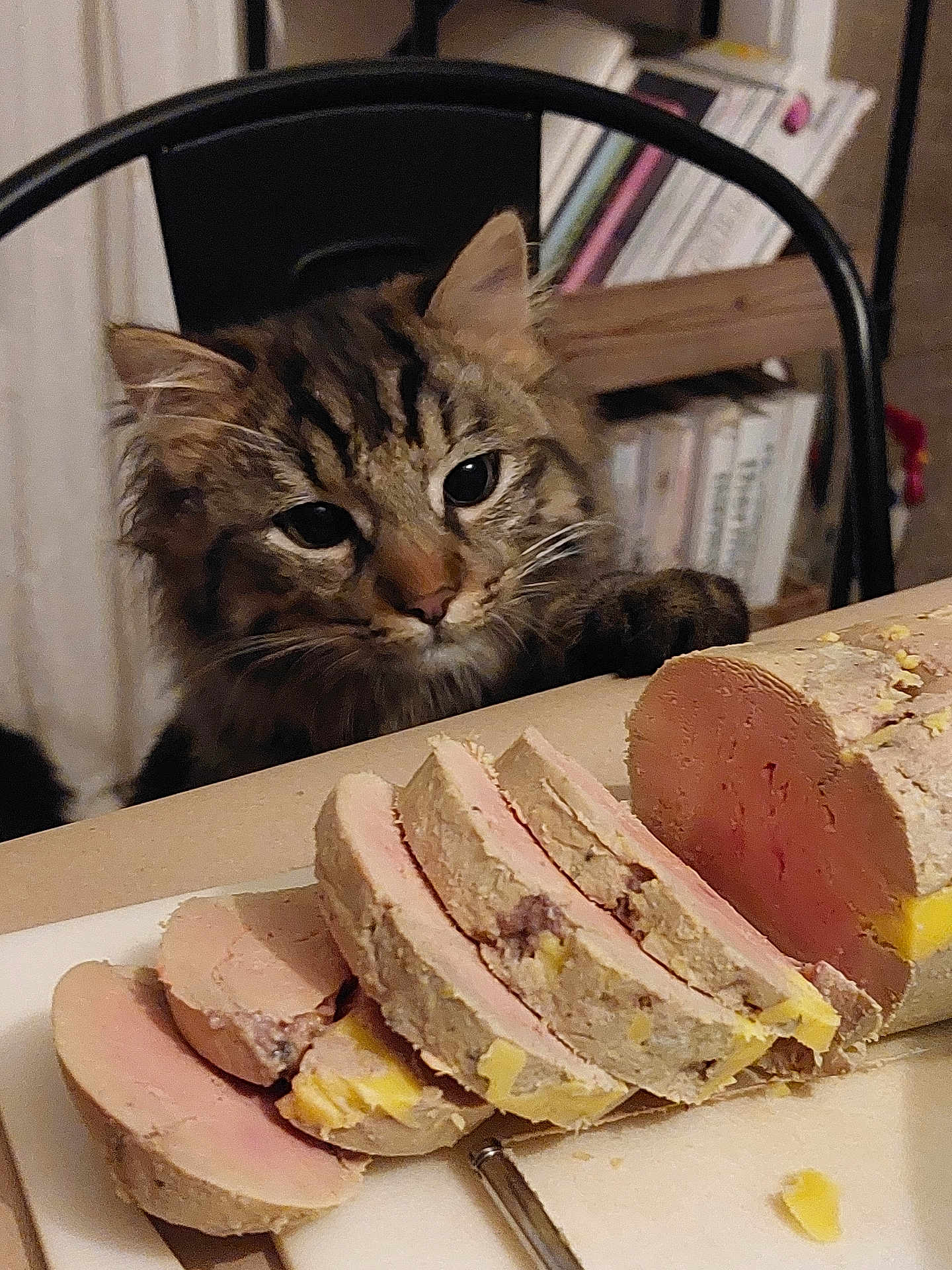 Larnay a rejoint le concours — aidez-le/la à gagner de superbes lots ! cat, tabby, food, pate, foie_gras, table, chair, bookshelf, cutting_board, kitchen, curious, indoor, pet, fur, animal, slice, meat, gourmet, gaze, background