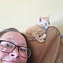 Nala is registered to the contest to win money with this photo: person, glasses, smile, kitten, cat, orange_cat, couch, brown_couch, indoor, wall, light_wall, pet, cute, feline, resting, young_cat, face, happy, closeup, selfie