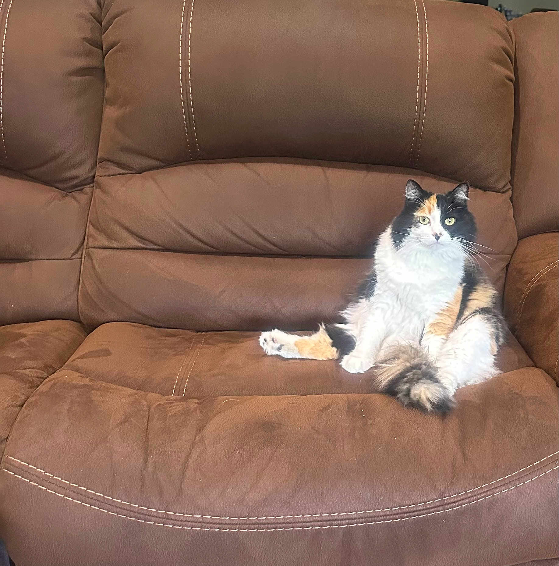 Callie