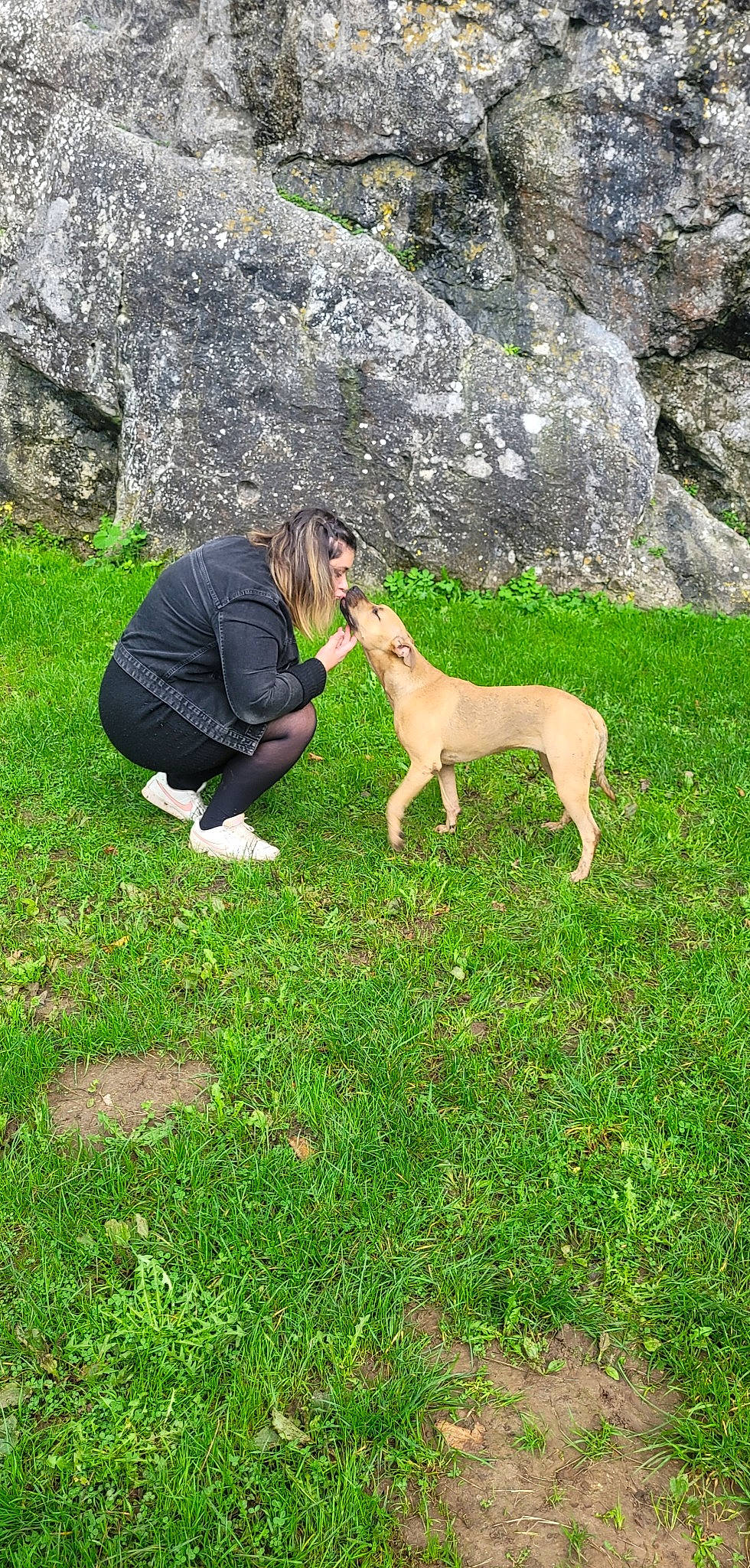 Hysis a rejoint le concours — aidez-le/la à gagner de superbes lots ! canidae, carnivore, companion_dog, dog, dog_breed, fawn, goats, grass, grassland, groundcover, landscape, meadow, mountain, pasture, people_in_nature, plant, sporting_group, tail, terrestrial_animal, wildlife