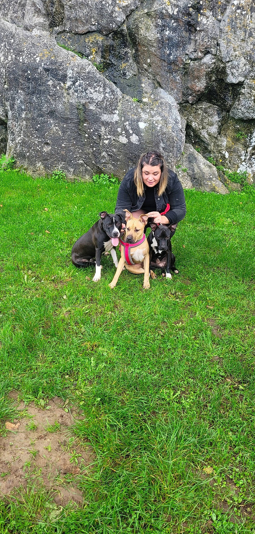 Hysis participe au concours pour gagner de l'argent avec cette photo : adventure, canidae, carnivore, companion_dog, dog, dog_breed, dog_hiking, dog_walking, grass, grassland, guard_dog, hunting_dog, leash, people_in_nature, recreation, rock, smile, sporting_group, walking, working_dog